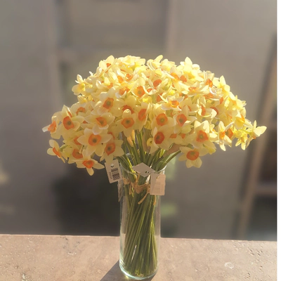 دسته 8 تایی گل نرگس (فروش ویژه)