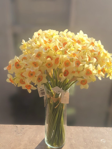دسته 8 تایی گل نرگس (فروش ویژه)