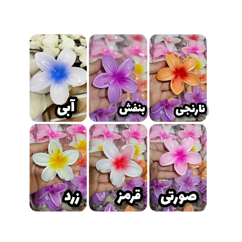 تصویر محصول ۱۳